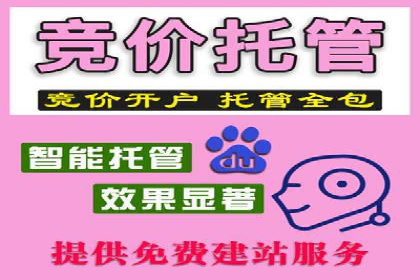 金融行业开户返点策略成功实例